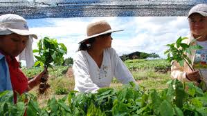 Y un grado mínim o de equidad social en l a región. Equidad Social Y Perspectivas De Genero Prioridades De La Primera Mesa Provincial De Mujeres Rurales Agroempresario Com