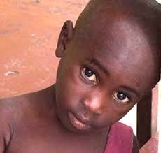 AMISH CONSTRUCTION 260-403-8949