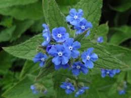 Others actually enjoy weeding as a part of gardening therapy. Garden Weeds What You Need To Know And How To Take Control Garden Benches Blog