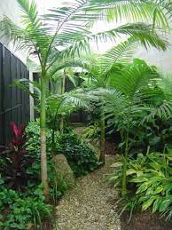 Small Tropical Landscaping Ideas Tropical Backyard Landscaping Small Tropical Gardens Tropical Backyard
