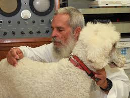 *all veterinarians listed in opd's holistic veterinarian directory are conventionally trained and licensed and actively practice at least one of the following *disclaimer: Holistic Veterinarian Kingston Vet