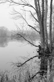Black And White Nature Painting Landscape Photography Rustic Decor Black And White Nature Photograph Landscape Photography Nature Photographs Black And White Landscape
