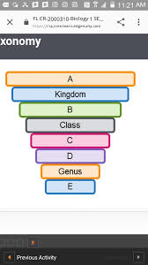 identify the levels of taxonomy that are missing in the