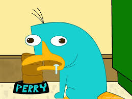 57 top perry the platypus wallpapers , carefully selected images for you that start with p letter. Perry The Platypus Wallpapers Pics 11902 Hd Wallpapers Site Desktop Background