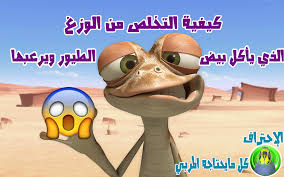 البرص هو مرض وراثي يتمثل في انخفاض إنتاج أو غياب صبغة الميلانين (melanin) كليًا، وهي الصبغة التي تعطي البشرة والشعر والعينين اللون الخاص بهم. ÙƒÙŠÙÙŠØ© Ø§Ù„ØªØ®Ù„Øµ Ù…Ù† Ø§Ù„ÙˆØ²Øº Ø§Ù„Ø°ÙŠ ÙŠØ£ÙƒÙ„ Ø¨ÙŠØ¶ Ø§Ù„Ø·ÙŠÙˆØ± ÙˆÙŠØ±Ø¹Ø¨Ù‡Ø§