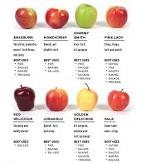 Fall Apples Guide Tumblr