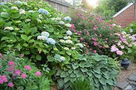 I have some hostas and a hydrangea that need to be moved. One Story Building Website Login Landscaping With Rocks Dreamy Garden Front Yard Hill Landscaping