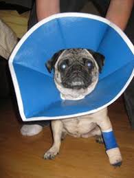 Terry McCullah (slick24)