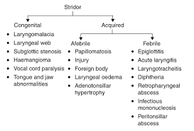 Image result for Stridor