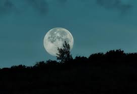 Xxxtentacion — moonlight (shellme remix) 00:23. Moonlight Disrupts The Circadian Clock Of Coffee Trees Says New Cirad Study