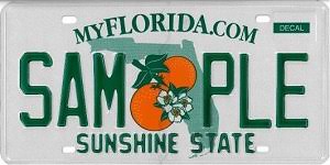 Check spelling or type a new query. License Plates Registration Florida Department Of Highway Safety And Motor Vehicles