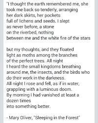 Mary Oliver Sleeping In The Forest Words Quotes Pretty Words Words