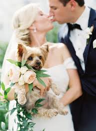 Flowers were traded in for a good cause after a local bride decided that instead of. 35 Ways To Ensure Your Dog Is The Guest Of Honor At Your Wedding Martha Stewart