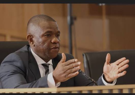 YNews: IDAC DDPP, Peter Serunye, says the arrests of Crime Intelligence  Officer Dineo Mokwele and others were premature and brought to court before  the investigation was complete. Testifying before the Madlanga Commission,