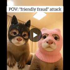 🚨 36% of reported fraud in 2024 was 1st-party fraud., 🚨 240% increase  compared to 2023. 🚨 And Fintechs are starting to feel it too., In a recent  report by LexisNexis, they specifically mentioned…