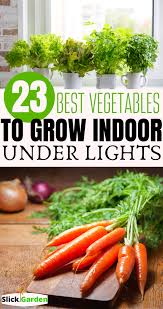 12:16 where is the … 23 Easiest Vegetables To Grow Indoors Under Lights Slick Garden Easy Vegetables To Grow Growing Vegetables Indoors Growing Vegetables