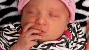 Oswego County TodaySophia Nolan