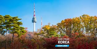 Admin ni lah yang jadi impian nak tengok tulip hidup tercapai jua. Pakej Korea Musim Luruh V Reka Travel Tours
