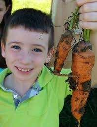 Claudette Starr's Instagram, Twitter & Facebook