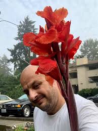 So excited that my red canna lilies are growing. My thanks to Darryl Curtis  for the bulbs. How tall do they get before the flowers appear?