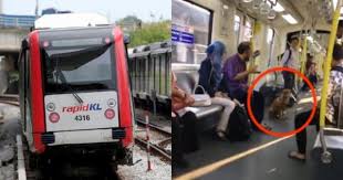 ) is a service brand used by prasarana malaysia subsidiaries companies to refer the public transportation services dedicated for kuala lumpur and klang valley area. Rapid Kl Apologises After Video Of A Stray Dog Taking An Lrt Ride Causes Uproar