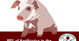 Debate Rages On Over Agricultural Antibiotics Use Food Animals Animals Antibiotic
