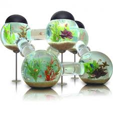 So much work, but definitely worth it !! Fabulous Fish Tank Themed Coffee Table Designs Photos Decor Report