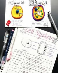 Animal cell with no nucleus. P5 Cell System Students Psle Science Sketchnotes Facebook