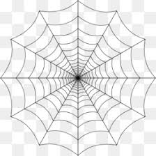 Colorfull spider hanging at the web on the green background. Spider Web Png Spider Web Corner Spider Web Background Spider Web Drawing Spider Web Graphics Spider Web Borders Cute Spider Web Cleanpng Kisspng