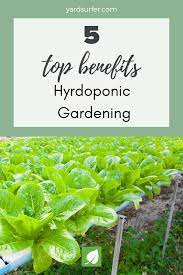 This List Of The Pros And Cons Of Hydroponic Gardening Will Serve To Help You Assess Whether This Gardeni Hydroponic Gardening Gardening Techniques Hydroponics
