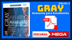 Documents similar to libro de radiologia bontrager. Doctor Pdf Home Facebook