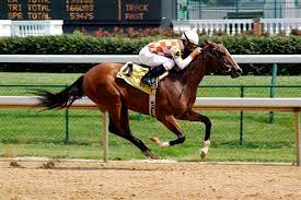Inbreeding In Thoroughbreds Positives And Negatives The Horse