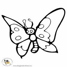 Farfalla Disegno Stilizzato Disegni Da Colorare E Da Stampare