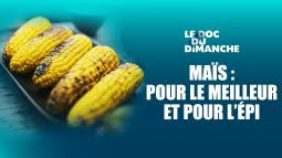 Le doc du bourlingueur en streaming gratuit sur auvio. Skfe4eov3qyhem