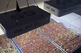 Check spelling or type a new query. Starting Seeds Indoors Led Grow Lights Joe Gardener