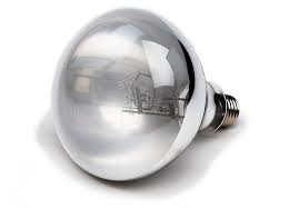100 Watt Uva Uvb Mercury Vapor Bulb Reptiles And Amphibians Reptiles Reptile Lights