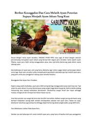 Sabung ayam peru yang dimaksud sabung ayam nasional asal amerika latin yg tak kalah seru dengan sabung ayam yang berada di negara filipina, sebagian beberapa orang di amerika latin. Berikut Keunggulan Dan Cara Melatih Ayam Peruvian Supaya Menjadi Ayam Aduan Yang Kuat By Agent Id303 Issuu