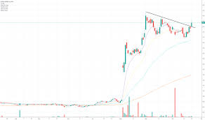 Opt Stock Price And Chart Asx Opt Tradingview