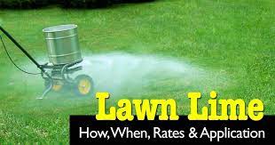 If you have added too much lime you may have raised the ph level from a low level that is acidic up to a high level that. Lime For Lawns How When Rates And Application