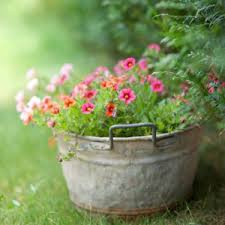 Dieser pinnwand folgen 118 nutzer auf pinterest. Wie Eine Zinkwanne Bepflanzen Phlora De