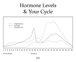 How Your Hormones Affect Your Skin Before During After