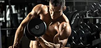 It's a cheap and easy way to get enough calories to gain weight. Here S Why The Gomad Diet Is A Dumb Way To Gain Weight