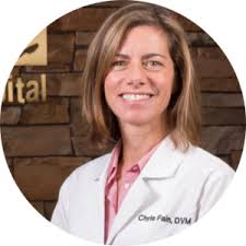 Newport Animal Hospital