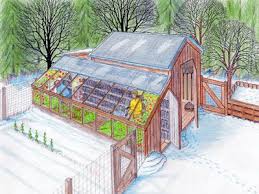 Pin On Gardening Ideas