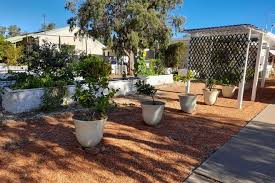 Buy top selling products like herb garden personalized wood plant marker set and aerogarden® harvest 360 garden system. 26 Real Estate Properties For Sale In Hebel Qld 4486 Domain