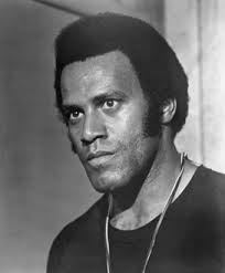Fred Williamson Movies & TV Shows List
