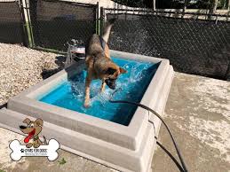 Check spelling or type a new query. Dog Park Equipment Dog Playground Equipment Dog Exercise Products