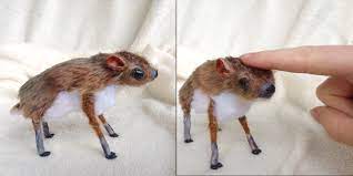 They are shy and secretive forest dwelling relative of the deer and are rarely seen. Baby Java Mouse Deer Ooak Art Doll By Honeycricket On Deviantart