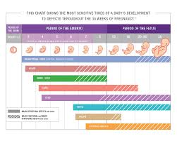 Critical Periods Of Development Mothertobaby