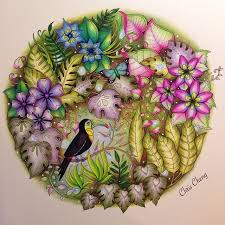 Tucano do magical jungle tutorial de @alebavaresco e @rpenze livro de @johannabasford #selvamagica… The Toucan From Magical Jungle Coloring Book By Johanna Basford New Video Is Up On Magical Jungle Johanna Basford Johanna Basford Coloring Book Coloring Books